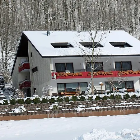 Haus Traudel Matt Pensión Elzach